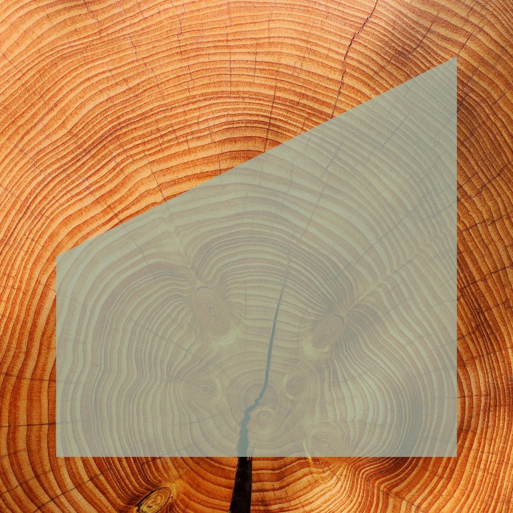 brixtra Logo auf Holz